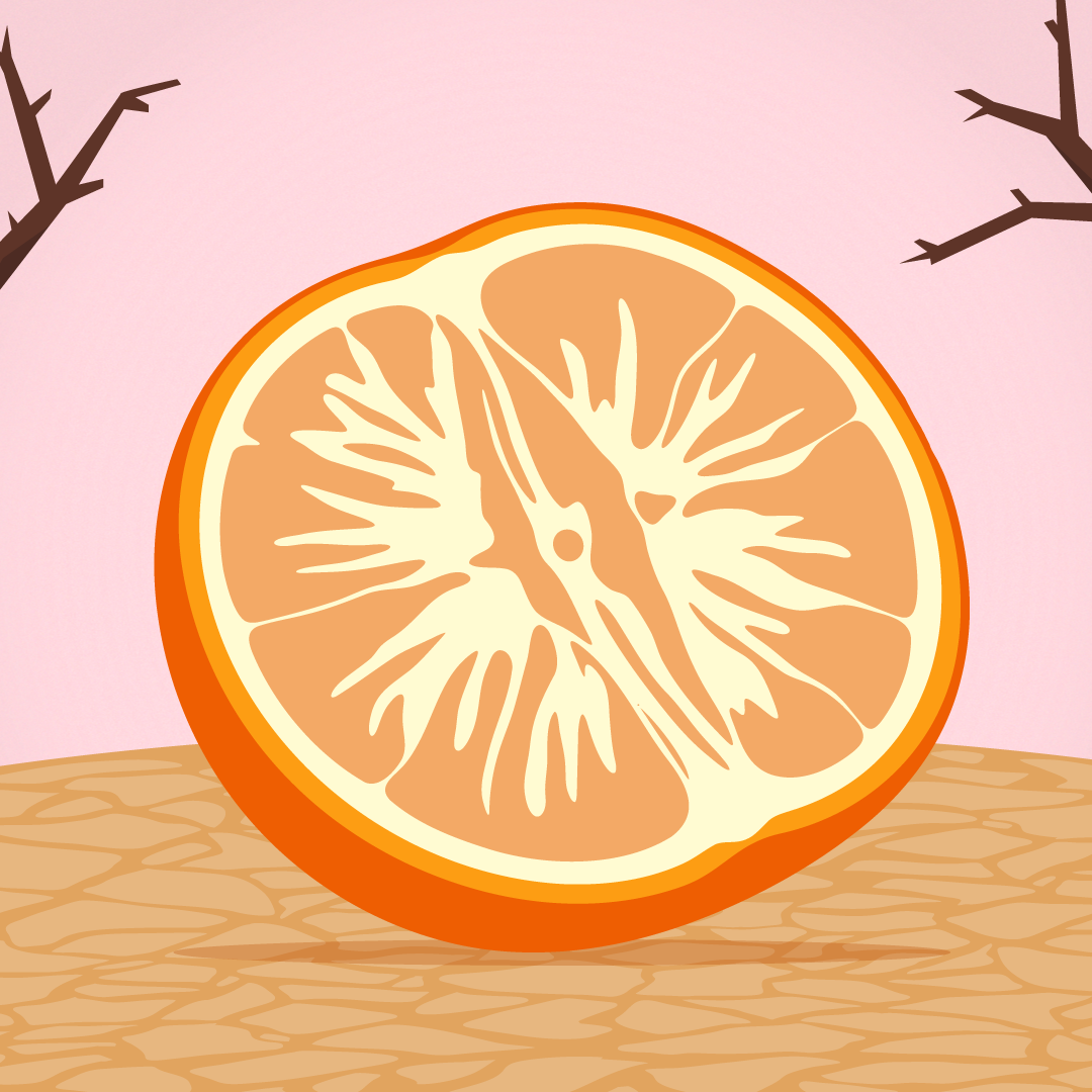 How to Handle Dryness Down There: Causes and Solutions